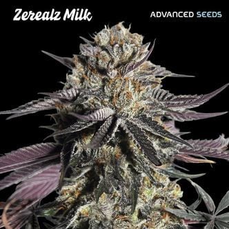 Zerealz Milk (Advanced Seeds) Feminized