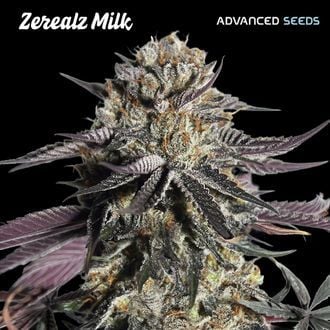 Zerealz Milk (Advanced Seeds) Feminized