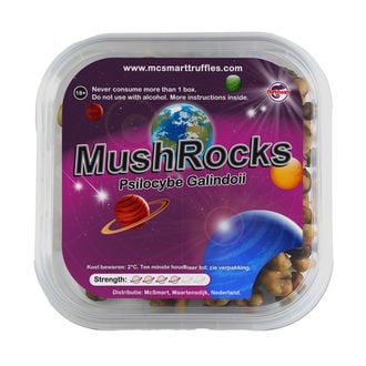 MushRocks Magic Truffels