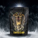 TRIBE Treasure Pack 'Rising Cobra'