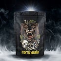 TRIBE Treasure Pack 'Roaring Bear'