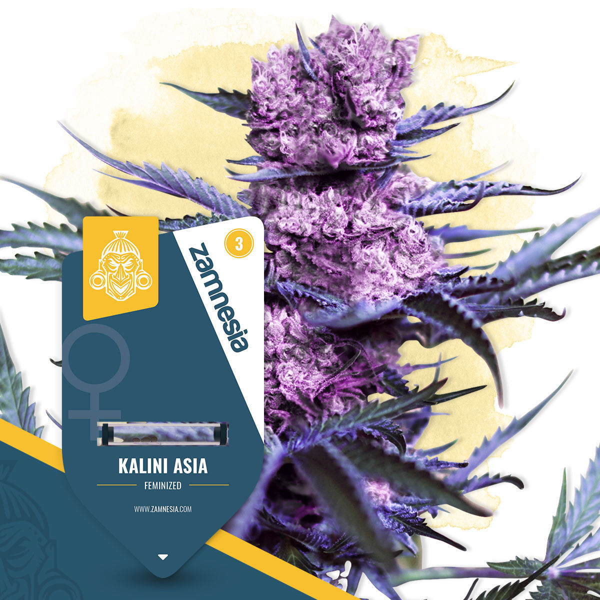 Kalini Asia Feminized (Zamnesia Seeds) - Zamnesia