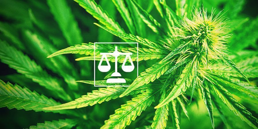 Wettigheid Cannabis