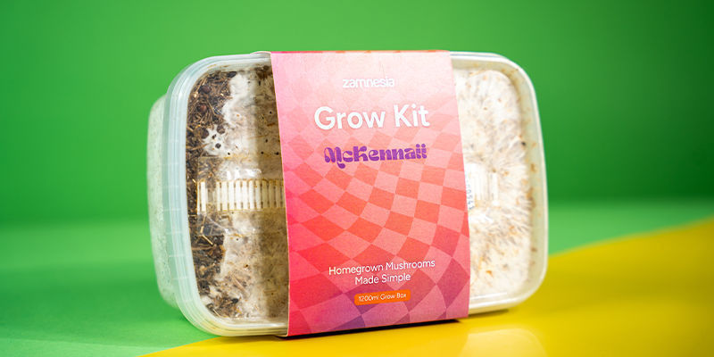 Fresh Mushrooms Growkit 'McKennaii'