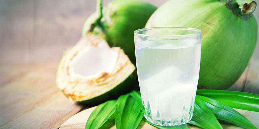 Onderbreking evalueren exegese Kokoswater Geeft Cannabis Een Versnelde Groeispurt - Zamnesia Blog