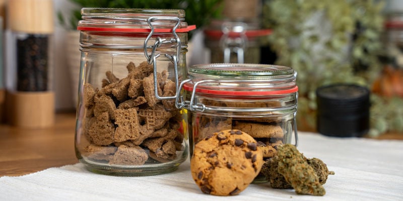 Edibles Bewaren: Eigenlijk Heel Eenvoudig!