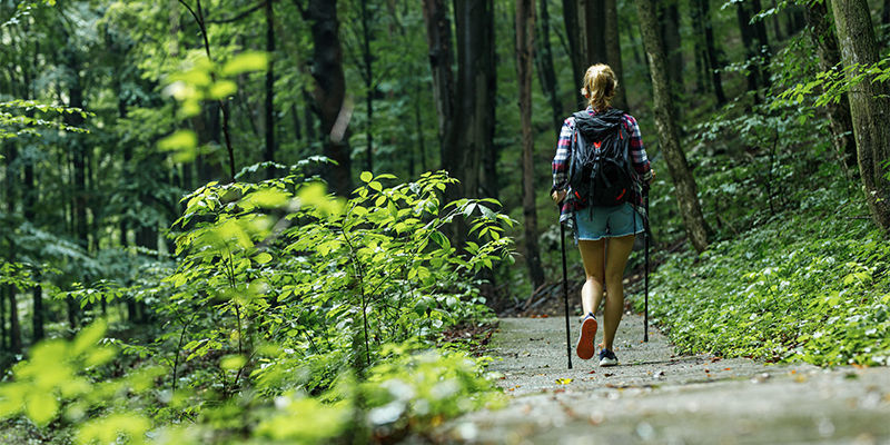 Maak Een Wandeling Door De Natuur