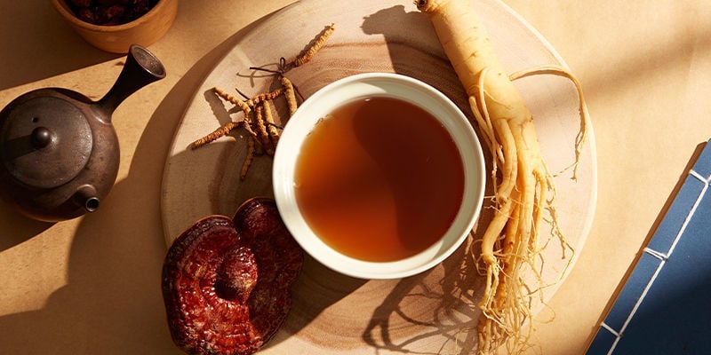 Cordyceps Paddenstoelen Oogsten En Gebruiken