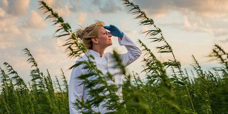 Uitdagingen En Aanpassingen In Croptober