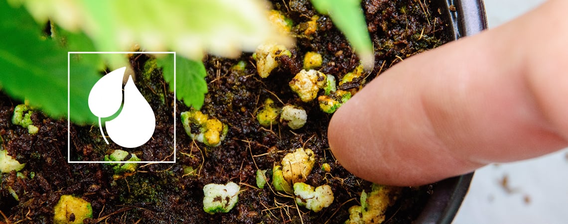 Je Eigen Voeding Voor Wietplanten Maken