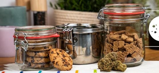 Hoe Bewaar Je Cannabis Edibles?