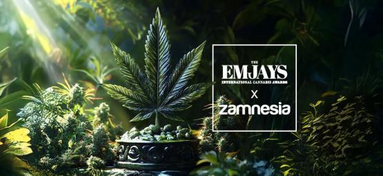 De Emjays - Internationale Cannabis Awards - Zamnesia Heeft Gewonnen!