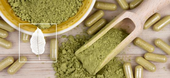 Hoe Gebruik Je Kratom?