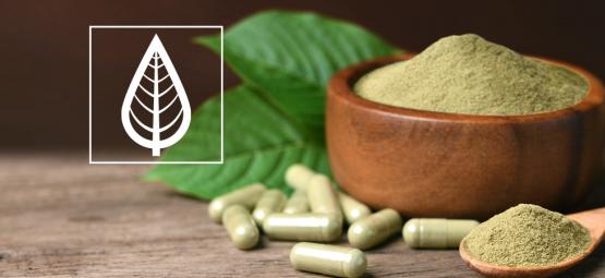 Wat is het verschil tussen de diverse soorten kratom?